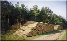 10_Holzstapel.jpg