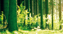  © 2012 Kronotex GmbH & Co. KG