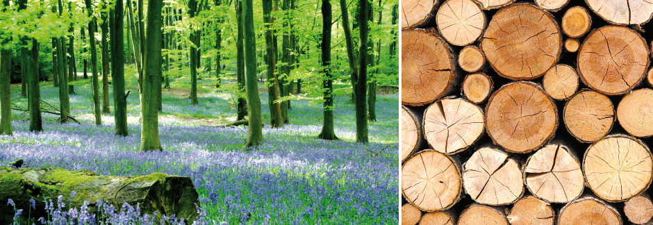 ply-unternehmen-klimaschutz.jpg